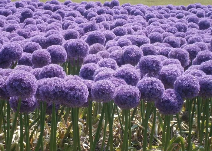 Pacific Ocean View Comfortable Vakantiehuis Bergen aan Zee